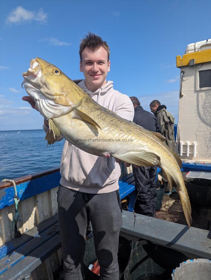 20 lb 3 oz Cod by Unknown