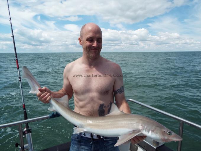2 oz Smooth-hound by Unknown