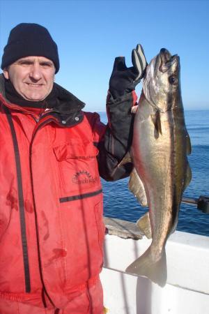 14 lb Pollock by Andy