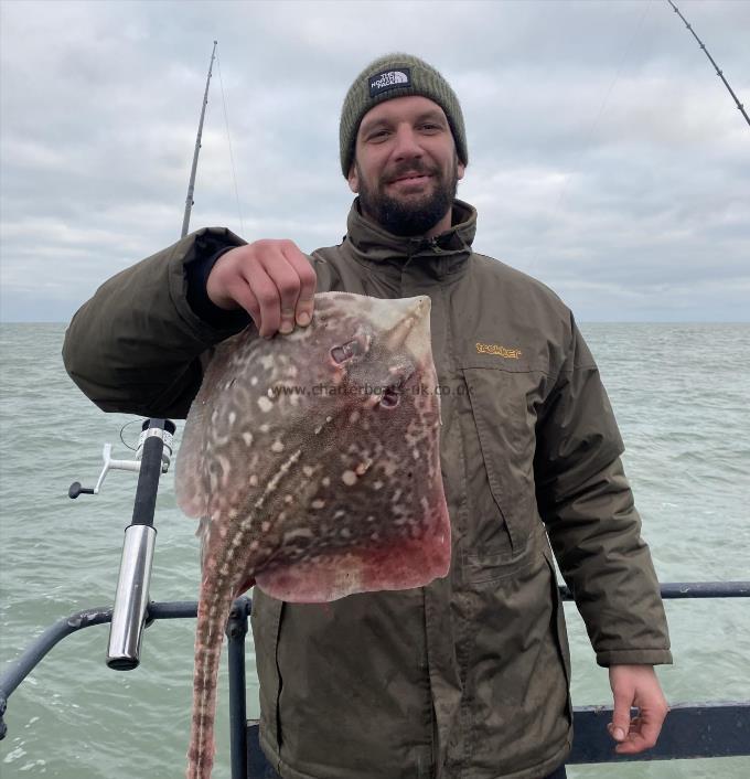 7 lb Thornback Ray by Unknown