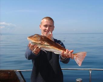 5 lb Tub Gurnard by Mike