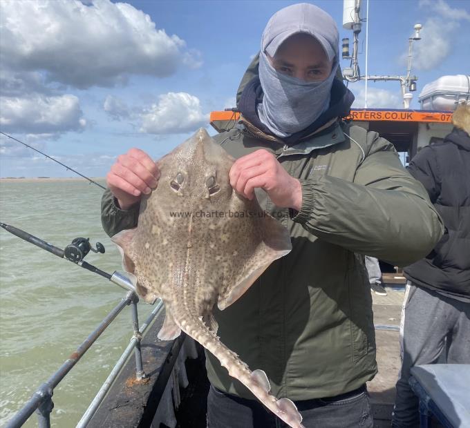 6 lb Thornback Ray by Unknown