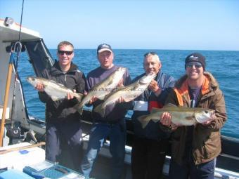 7 lb 8 oz Pollock by group