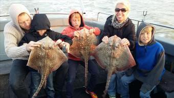 7 lb Thornback Ray by 4 hour trip