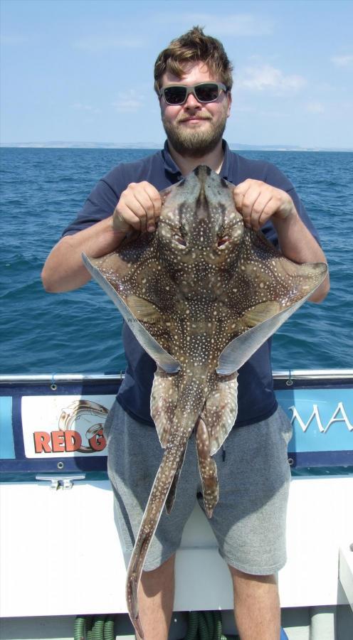 12 lb Undulate Ray by Frankie Sanchez