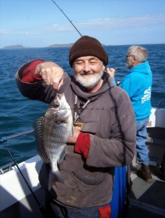 2 lb 8 oz Black Sea Bream by Roger