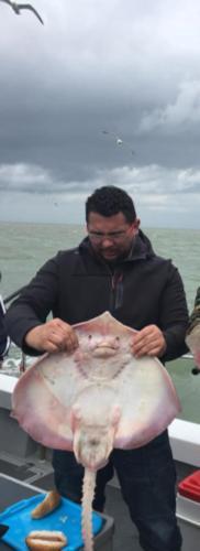 12 lb 8 oz Thornback Ray by Unknown