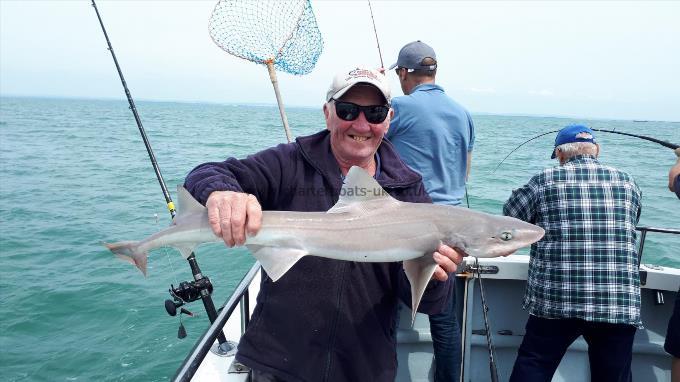 10 lb Smooth-hound by Unknown