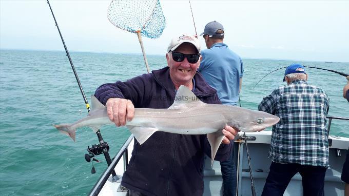 10 lb Smooth-hound (Common) by Unknown