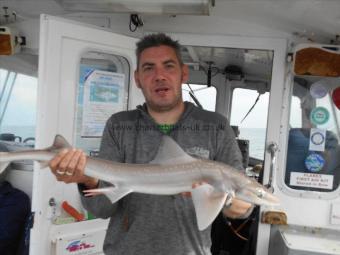 4 lb 5 oz Starry Smooth-hound by James