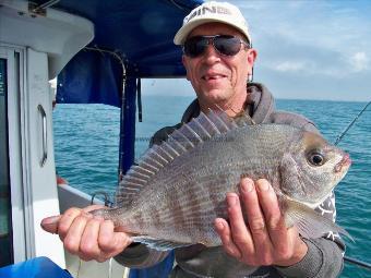 3 lb 8 oz Black Sea Bream by ben s black bream