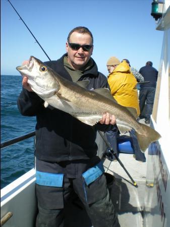 11 lb Pollock by Bisley s.a.c member