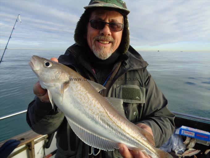 2 lb Whiting by mike jeffies