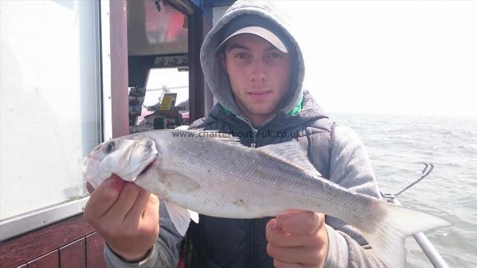 2 lb Bass by Dan from Kent