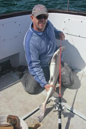 10 lb Starry Smooth-hound by Davy