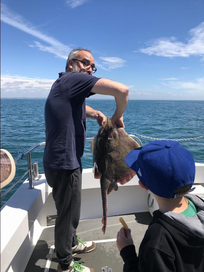 15 lb 7 oz Undulate Ray by Unknown