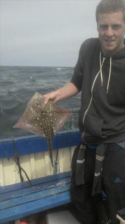 2 lb 2 oz Thornback Ray by Unknown