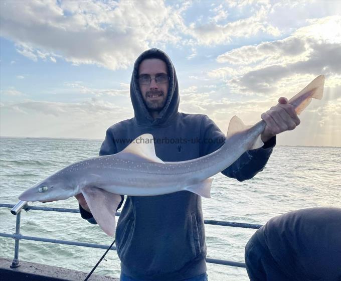 10 lb Starry Smooth-hound by Unknown