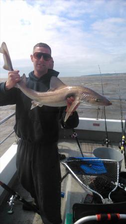 10 lb 8 oz Starry Smooth-hound by lee norris