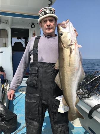 15 lb Pollock by Kevin McKie