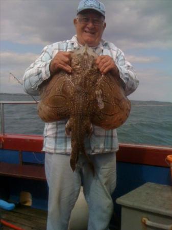 14 lb 8 oz Undulate Ray by Harry 'H' Livermore from Southampton