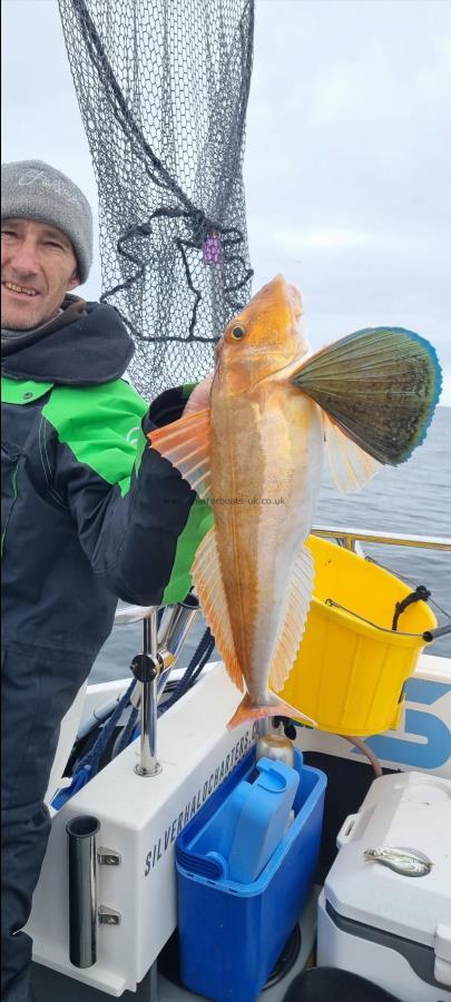 3 lb 8 oz Tub Gurnard by LEE