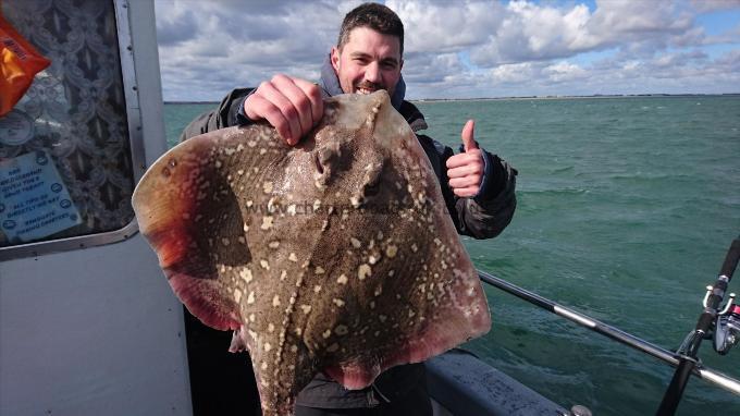 14 lb 4 oz Thornback Ray by Dave from Southampton