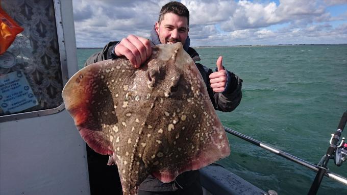 14 lb 4 oz Thornback Ray by Dave from Southampton