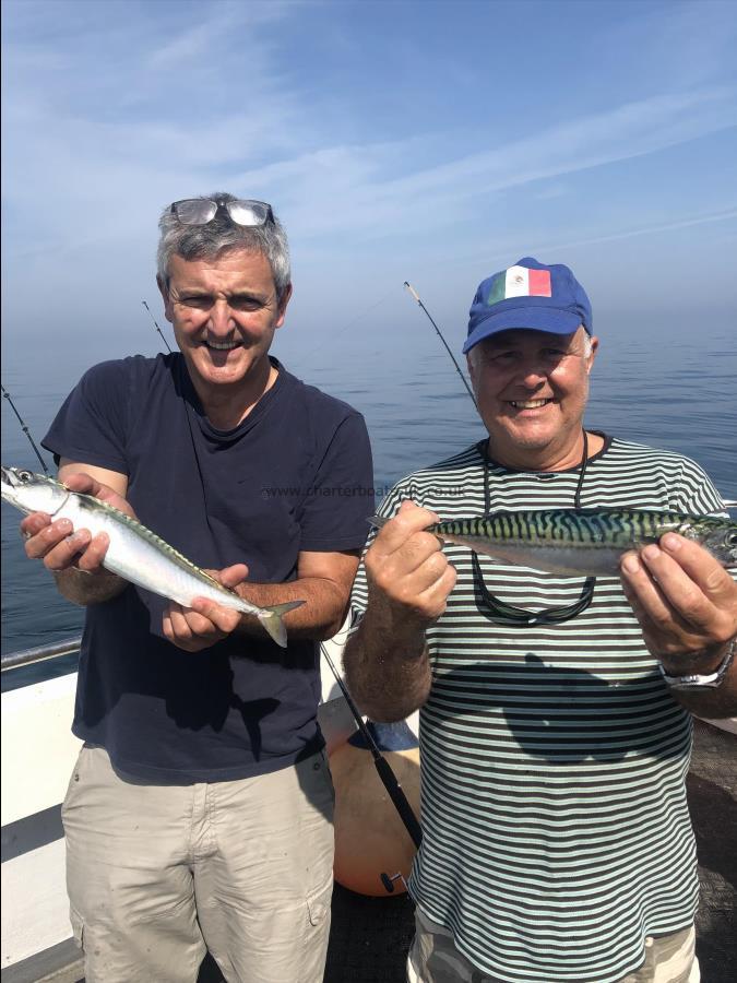 2 lb Mackerel by Unknown