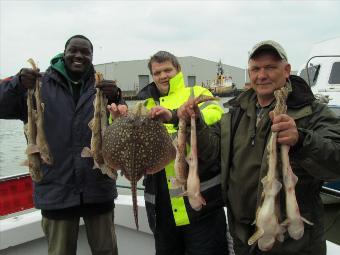 3 lb Lesser Spotted Dogfish by mixed bag of fish