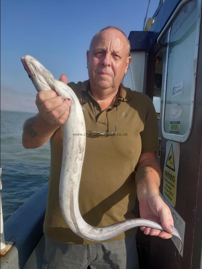 4 lb Conger Eel by Alfie