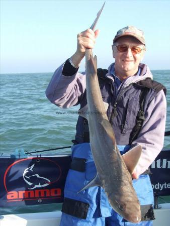 13 lb Starry Smooth-hound by Andy Collings