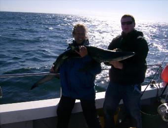 50 lb Blue Shark by unknown