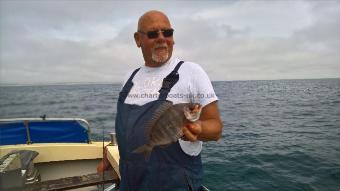 1 lb 4 oz Black Sea Bream by Stephen Wake