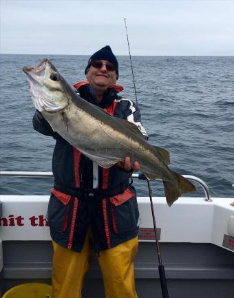 14 lb 10 oz Pollock by Rob