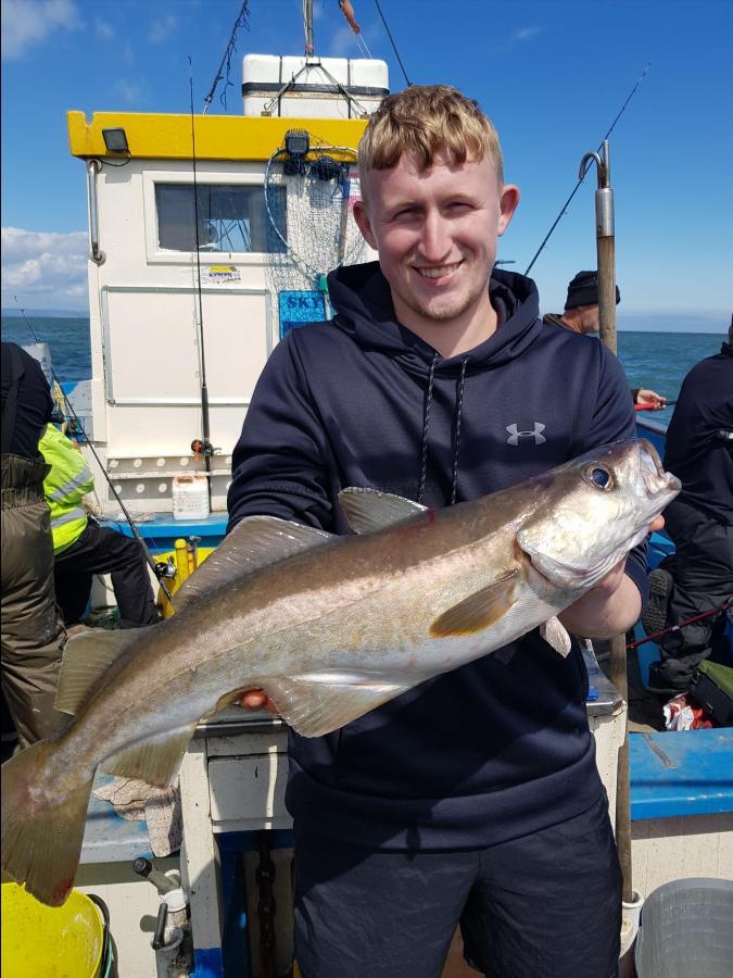 6 lb 8 oz Pollock by Unknown