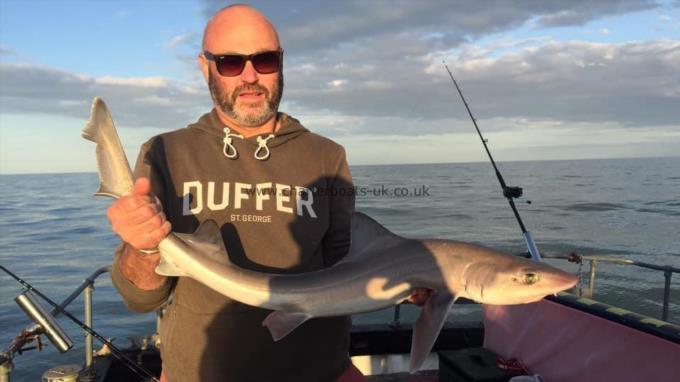 7 lb Smooth-hound by Unknown