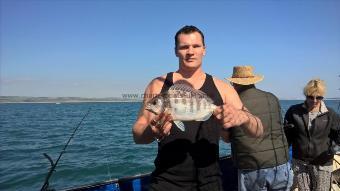 2 lb 8 oz Black Sea Bream by Stephen Wake