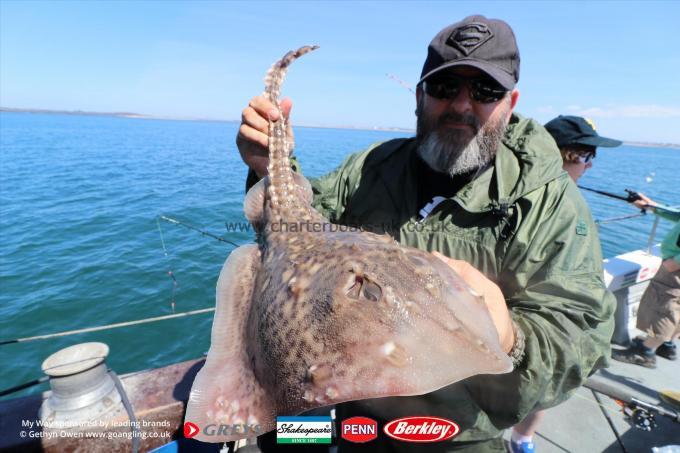6 lb Thornback Ray by Peter
