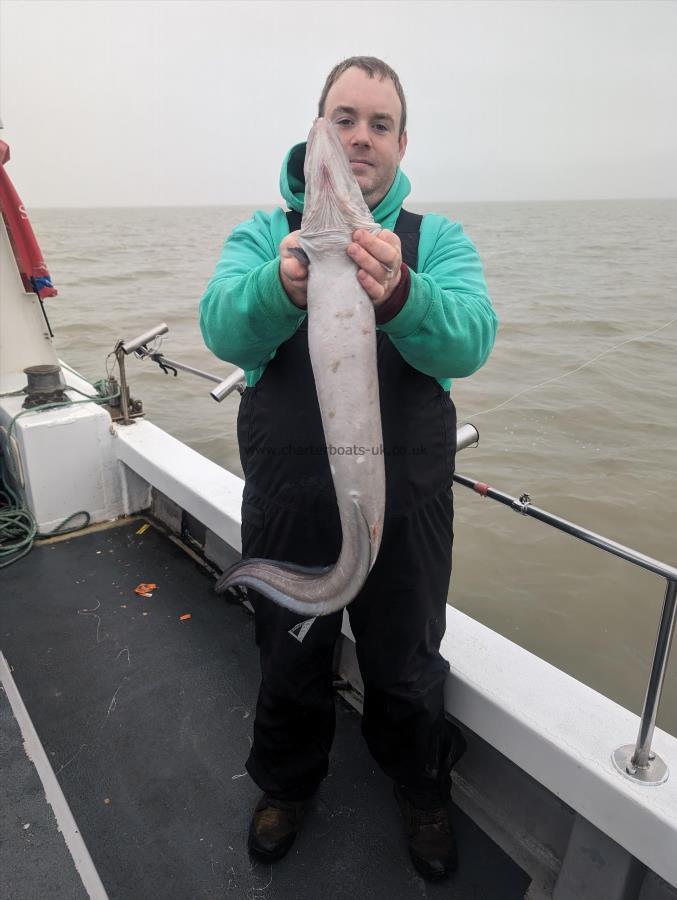 10 lb Conger Eel by Waz