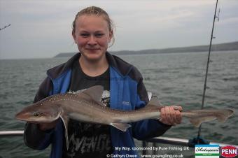 12 lb Starry Smooth-hound by Elen