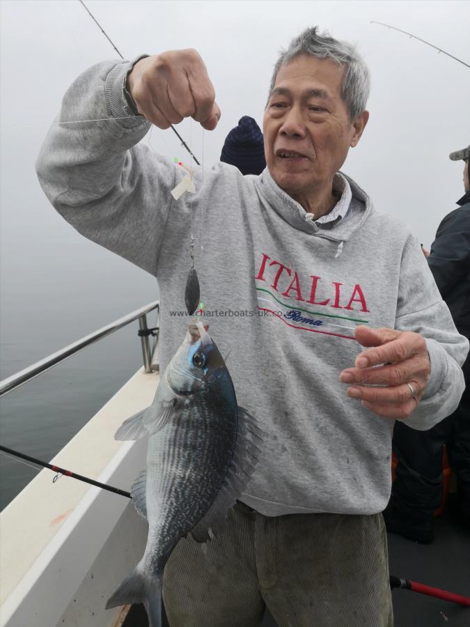 2 lb Black Sea Bream by Ng