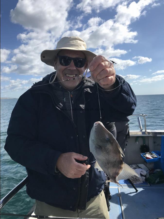 2 lb 6 oz Trigger Fish by Unknown