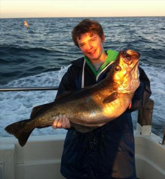 16 lb 8 oz Pollock by Adam Brown