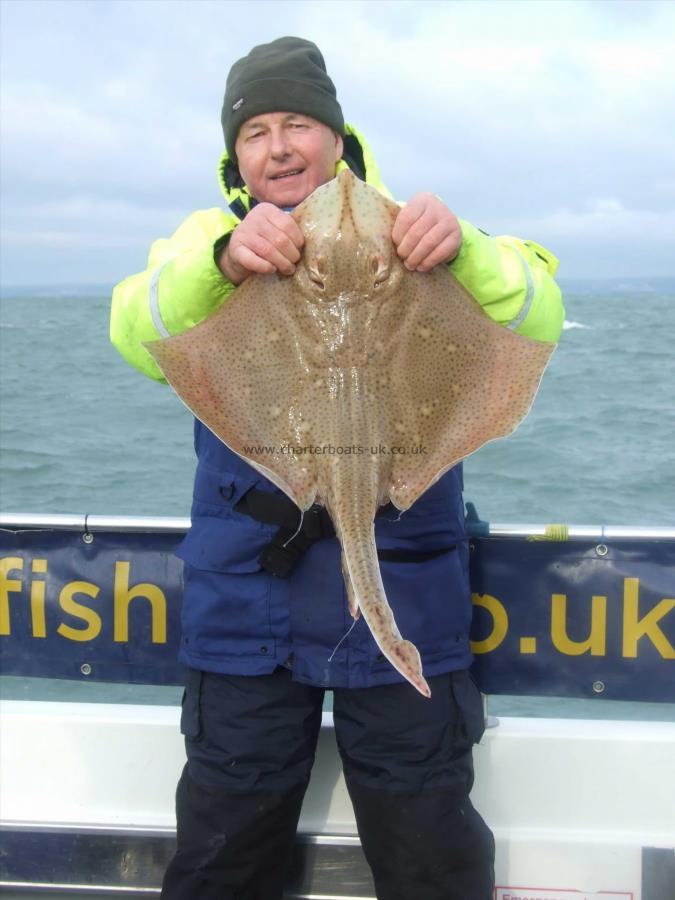 9 lb Blonde Ray by David Metcalf