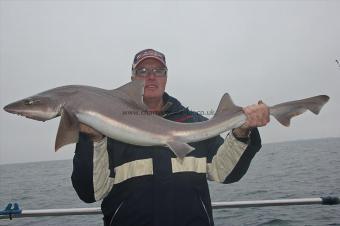 13 lb 13 oz Starry Smooth-hound by Wayne