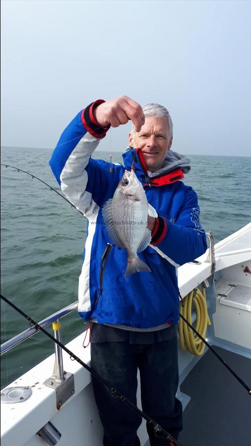 1 lb 8 oz Black Sea Bream by Pete Reynolds