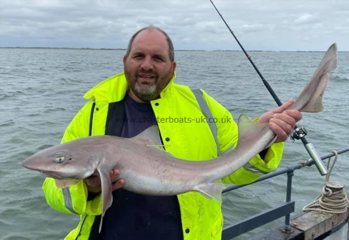14 lb Smooth-hound (Common) by Unknown