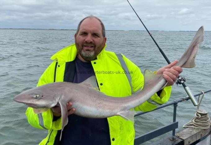 14 lb Smooth-hound by Unknown