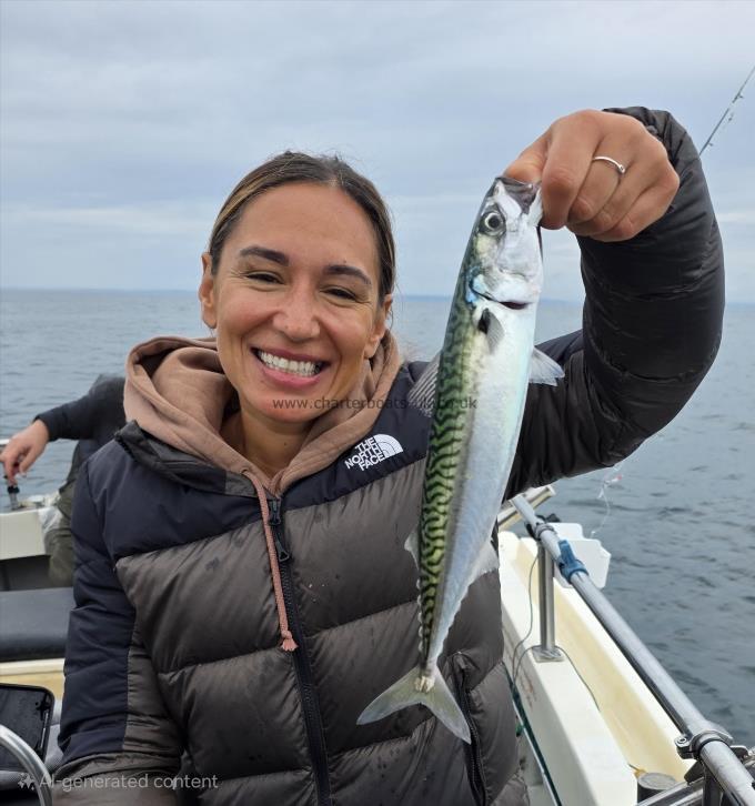 1 lb Mackerel by Carly